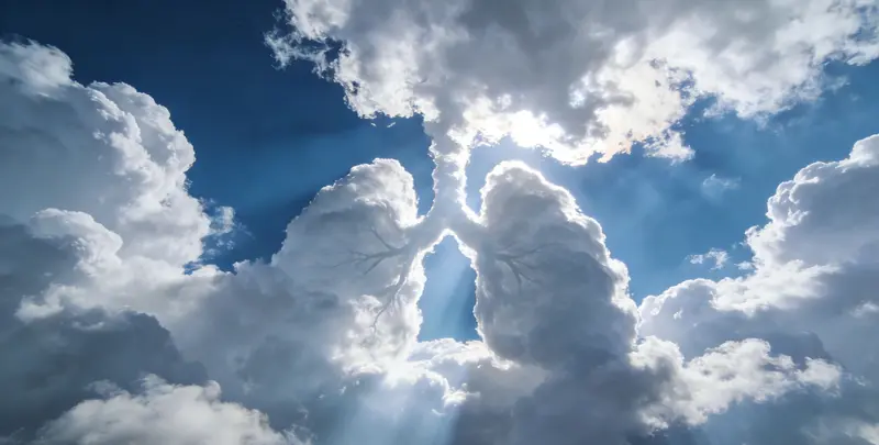 安阳肺癌靶向39基因检测及PDL122C3表达检测套餐（组织）图片1