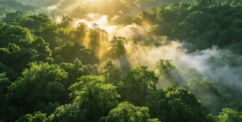 安阳肺癌172基因检测图片1