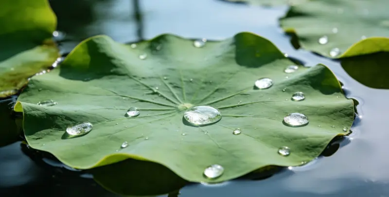 安阳乳腺癌21基因mRNA表达分析图片1